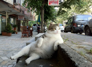 20170206143210-8jakp