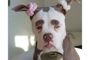 b8de86a7af2e1c51d008aa6b30e1525d