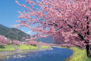 5b6386e69c9df93d4dd4c4e39c589a1770275520